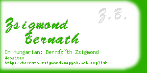 zsigmond bernath business card